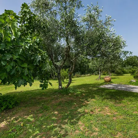 Salvia By Interhome Sorano (Grosseto)