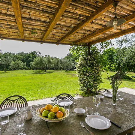 Prázdninový dům Salvia By Interhome *